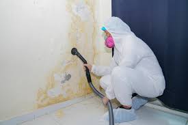 Best Asbestos and Lead Testing During Mold Inspection  in Lumber City, GA